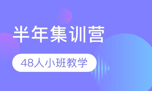 半年集训营