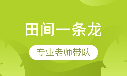 田间一条龙
