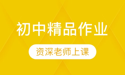 初中精品作业