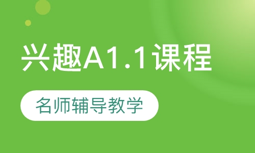 西语兴趣A1.1课程 48h 精英中教+4小时资深外教