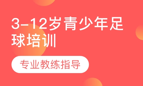 3-12岁青少年足球培训体验班