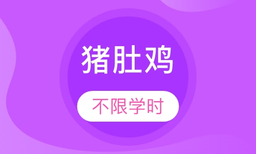 猪肚鸡