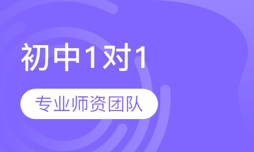 初中1对1