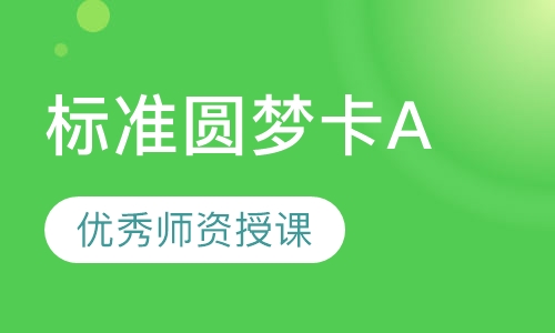 标准圆梦卡A