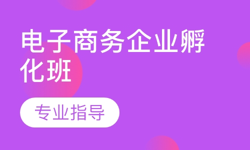 电子商务企业孵化班