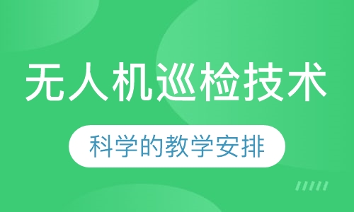 无人机巡检技术