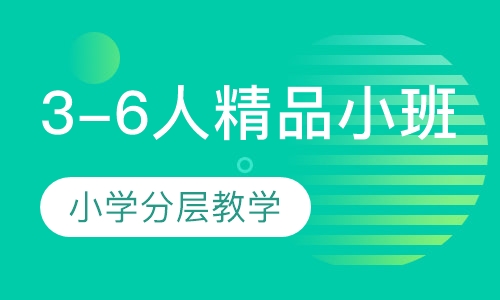 小学3-6人精品小班