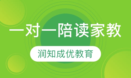 一对一陪读家教