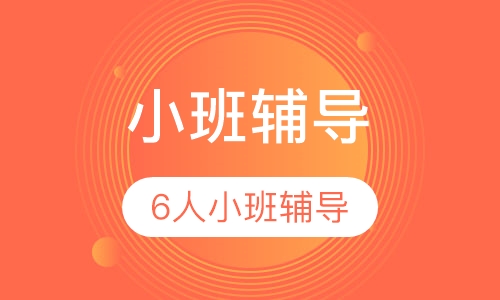初一数学6人小班辅导
