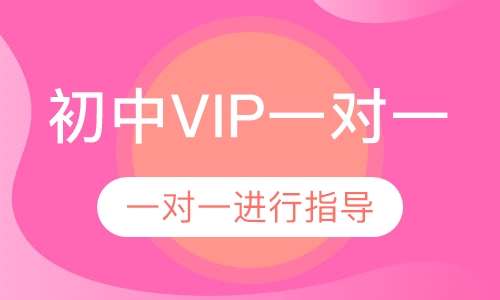 初中VIP一对一