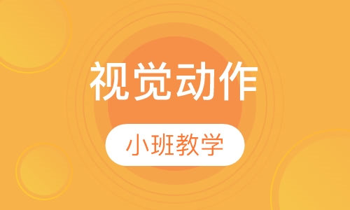视觉动作统合课程
