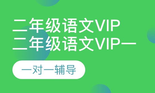 二年级语文vip一对一课程