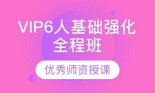 VIP6人基础强化全程班