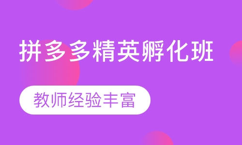 拼多多精英孵化班