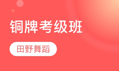 铜牌考级班