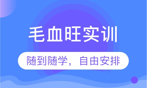 毛血旺实训
