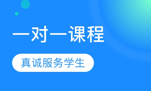 初中物理一对一课程辅导
