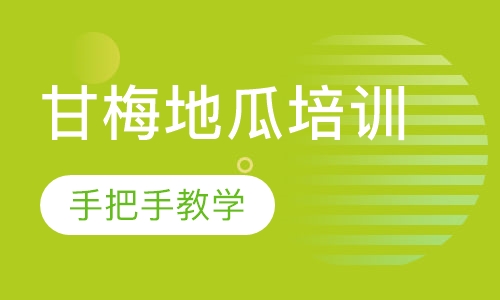 甘梅地瓜培训