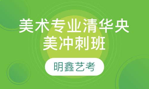美术专业清华央美冲刺班