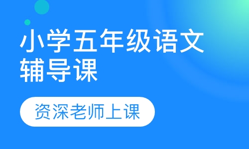 小学五年级语文辅导课