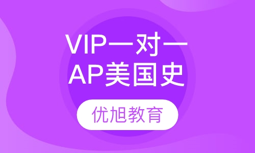 VIP一对一AP 美国历史订制