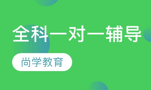 全科一对一辅导
