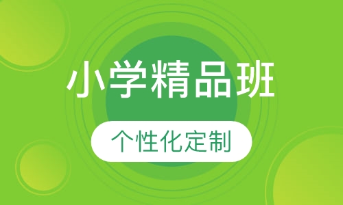 小学精品私教课（2-4人）
