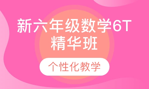 新六年级数学6T精华班