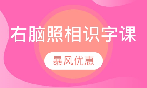 右脑照相识字课