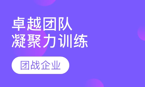 卓越团队执行/凝聚力训练