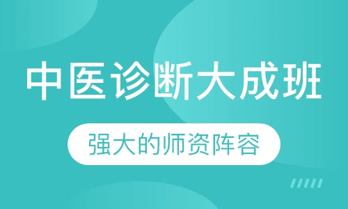 中医诊断大成班