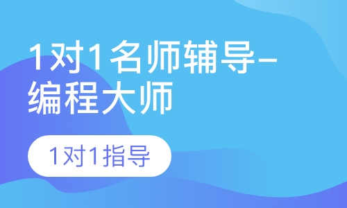 1对1名师辅导-编程大师课
