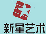 合肥新星艺术培训