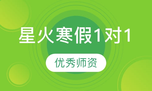 星火寒假1对1