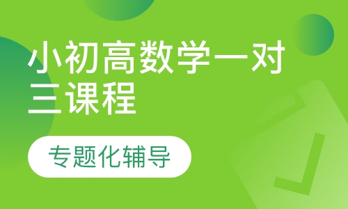 小初高数学一对三课程