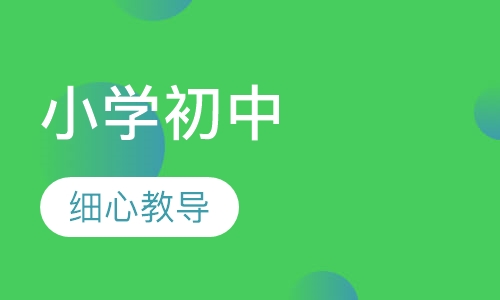 小学初中作业辅导