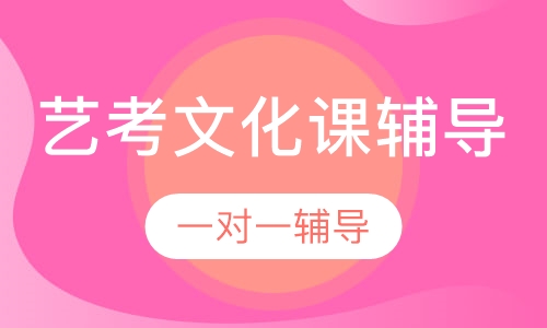 艺考文化课一对一辅导