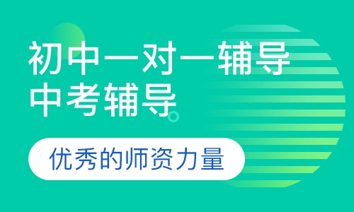 初中一对一辅导中考辅导