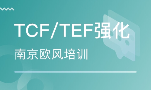TCF/TEF强化