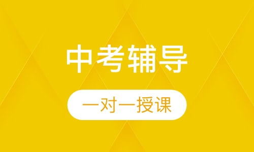 中考一对一辅导