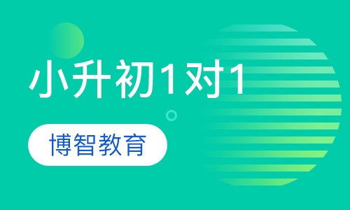 小升初1对1