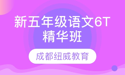 新五年级语文6T精华班