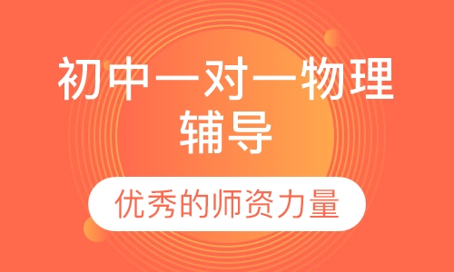 初中一对一物理辅导
