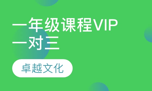 卓越文化小学一年级课程VIP一对三