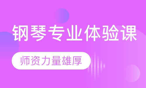钢琴专业体验课