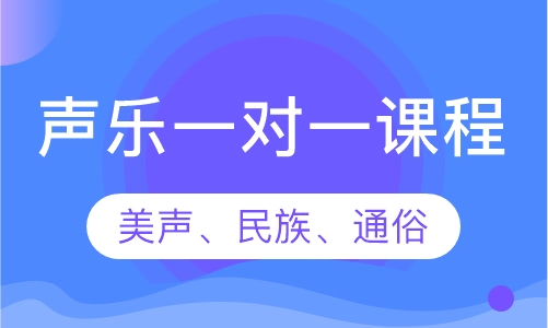 声乐一对一课程