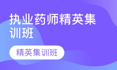 执业药师精英集训班