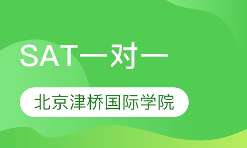 SAT一对一