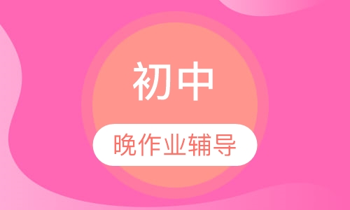 初中晚作业辅导
