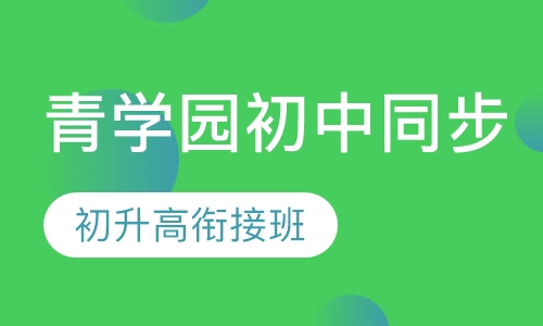 （青学园初中同步）初升高衔接班